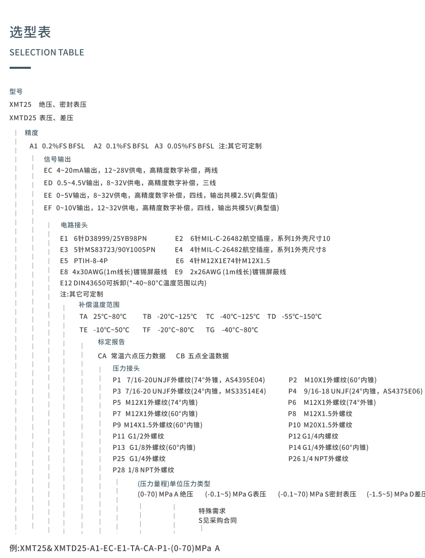XMT25 &XMTD25 系列宽温区高精度压力传感器